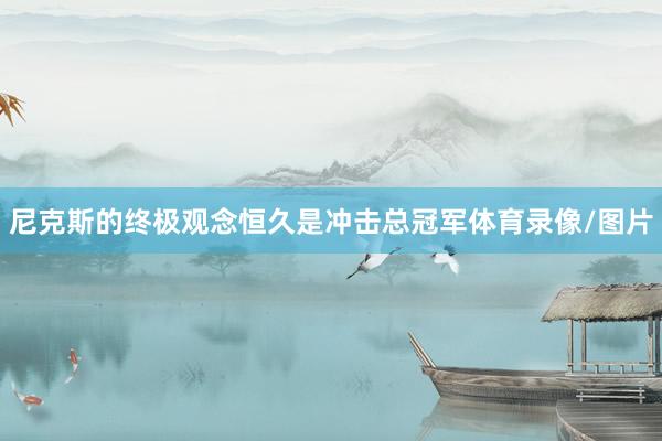 尼克斯的终极观念恒久是冲击总冠军体育录像/图片