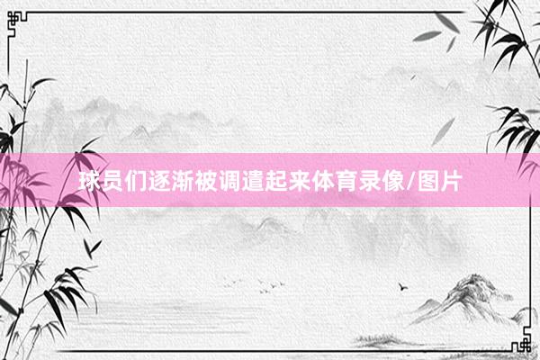 球员们逐渐被调遣起来体育录像/图片