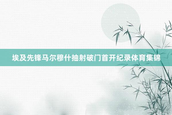 埃及先锋马尔穆什抽射破门首开纪录体育集锦