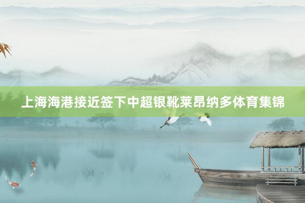 上海海港接近签下中超银靴莱昂纳多体育集锦