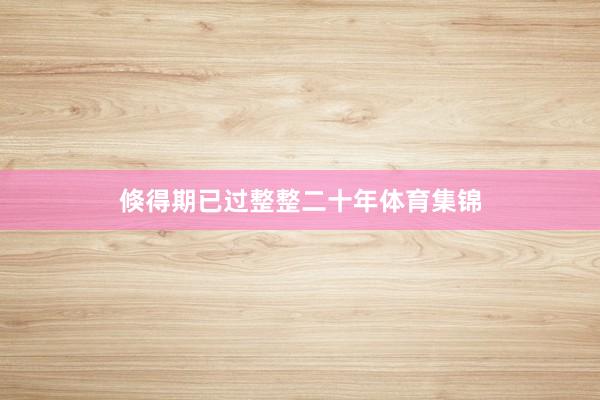 倏得期已过整整二十年体育集锦