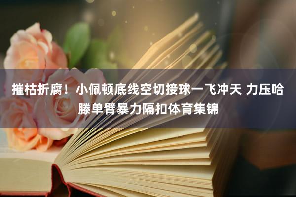摧枯折腐！小佩顿底线空切接球一飞冲天 力压哈滕单臂暴力隔扣体育集锦