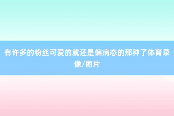 有许多的粉丝可爱的就还是偏病态的那种了体育录像/图片
