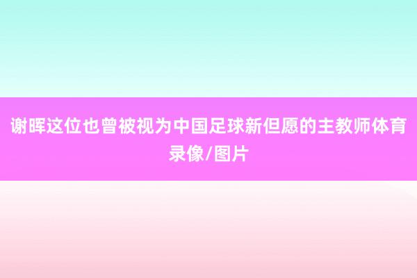 谢晖这位也曾被视为中国足球新但愿的主教师体育录像/图片
