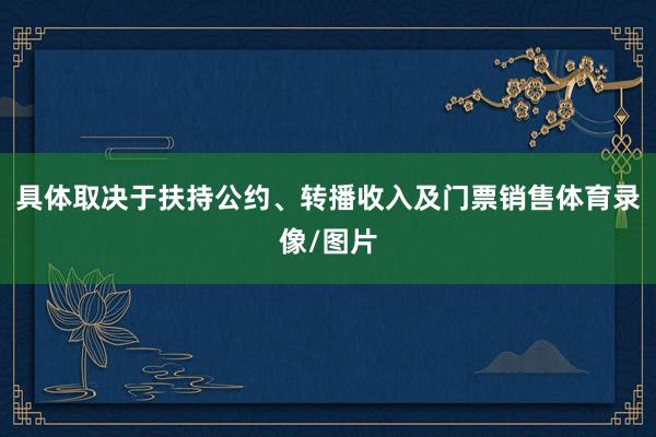 具体取决于扶持公约、转播收入及门票销售体育录像/图片