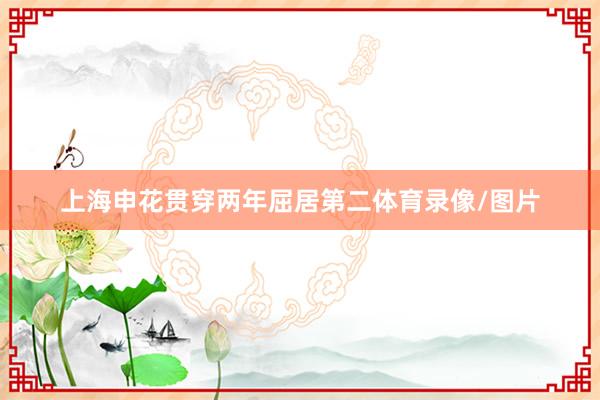 上海申花贯穿两年屈居第二体育录像/图片