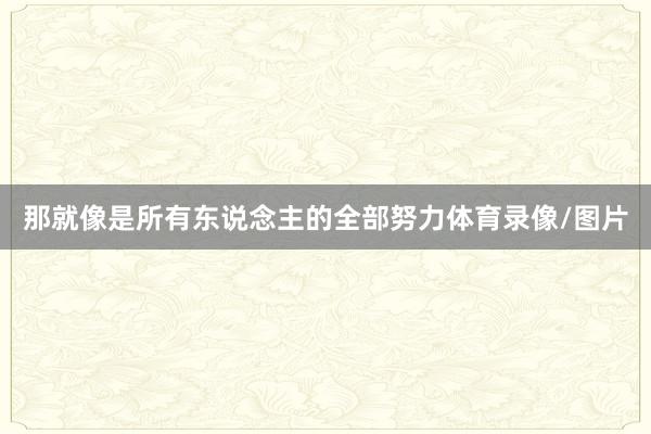 那就像是所有东说念主的全部努力体育录像/图片