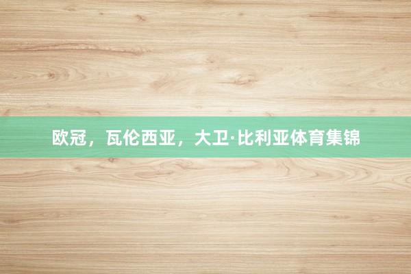 欧冠,瓦伦西亚,大卫·比利亚体育集锦