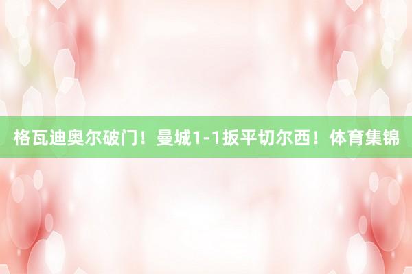 格瓦迪奥尔破门！曼城1-1扳平切尔西！体育集锦