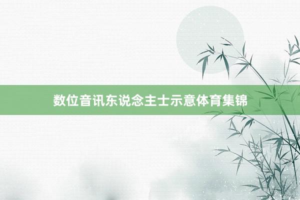 数位音讯东说念主士示意体育集锦