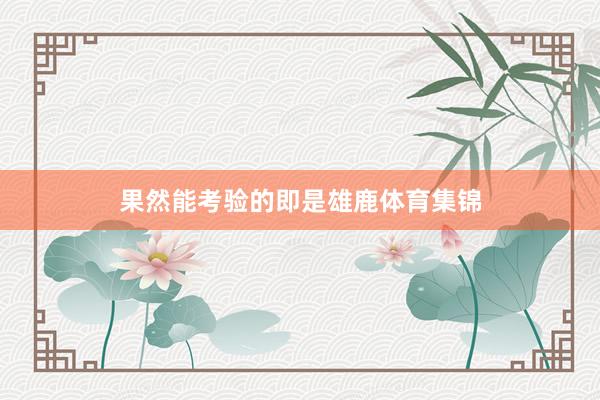 果然能考验的即是雄鹿体育集锦
