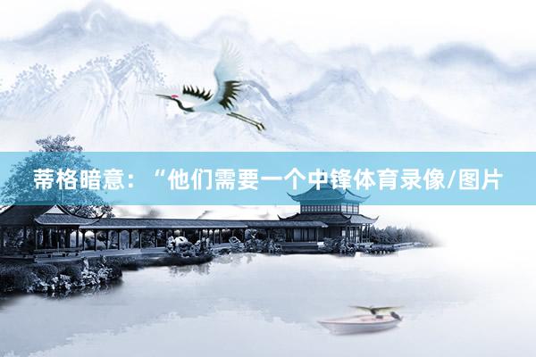 蒂格暗意：“他们需要一个中锋体育录像/图片